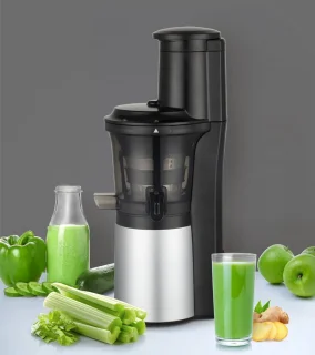 SlowJuicer Groenten- en Fruitpers Anti-Drup