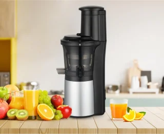 SlowJuicer Groenten- en Fruitpers Anti-Drup