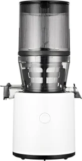 Slowjuicer Juicer Groenten En Fruitpers BPA Vrij