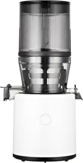 Slowjuicer Juicer Groenten En Fruitpers BPA Vrij