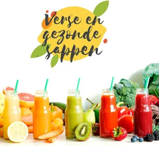 Slowjuicer Juicer Sapcentrifuge Groenten en Fruitpers