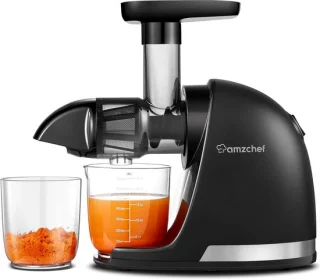 Slowjuicer koude pers sapcentrifuge zwart