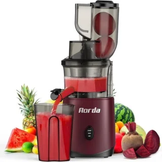 Slowjuicer koudpers 200W
