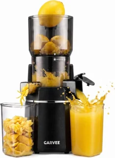 Slowjuicer koudpers sapmachine matzwart
