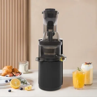 Slowjuicer met koude pers sapcentrifuge
