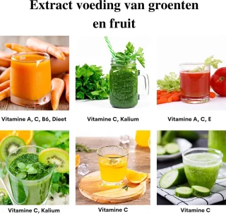 Slowjuicer Sapcentrifuge 2 Snelheden Omkeerfunctie