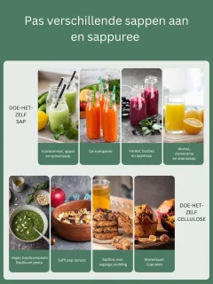 Slowjuicer Sapcentrifuge 3 Instellingen Met Reinigingsborstel