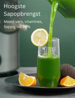 Slowjuicer Sapcentrifuge 3 Instellingen Met Reinigingsborstel