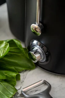 Slowjuicer Sapcentrifuge Juicer Groenten en Fruitpers