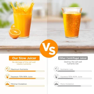Slowjuicer Sapcentrifuge Juicer