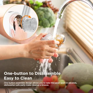 Slowjuicer Sapcentrifuge Juicer