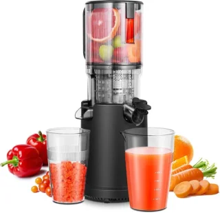 Slowjuicer – Sapmaker