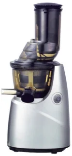 Slowjuicer voor fruit en groenten
