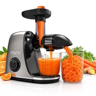 Slowjuicer voor groenten en fruit grijs