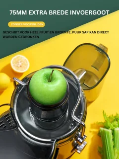 Slowjuicer XL 800W met 2L Pulpbak en 1.1L Schenkkan