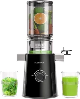 Slowslow Juicer