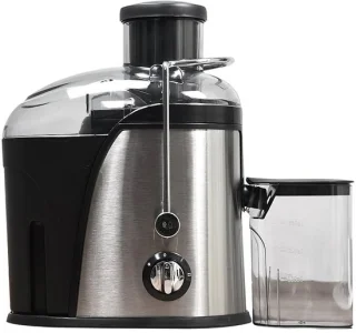 Alles-in-één smoothie blender en slowjuicer: veelzijdigheid voor dagelijks gebruik