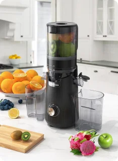 SnelShoppen slow juicer voor hele fruit en groenten