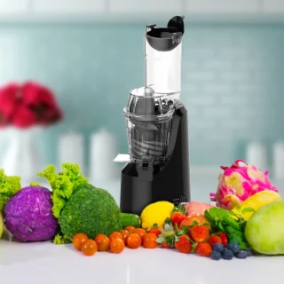 Techwood TCF276 Slowjuicer
