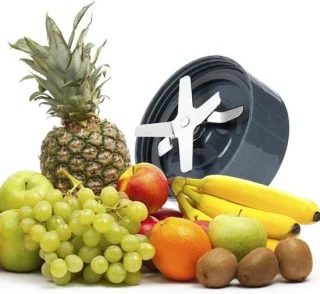 Vervangende juicer blades van RVS