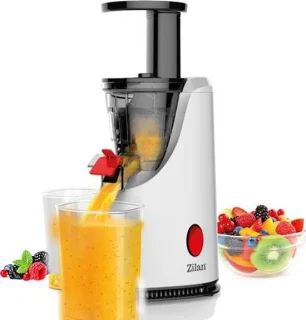Zilan Slowjuicer RVS 200W review