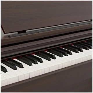 DP-10X Digitale Piano van Gear4music, Donker Palissanderhout