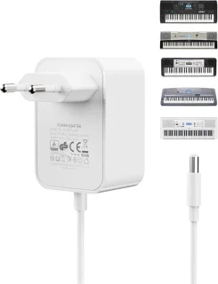 12V/2A adapter voor Yamaha keyboard