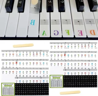 Afneembare Piano- en Keyboardlabels