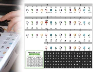 Allecto Plus - Piano Keyboardstickers