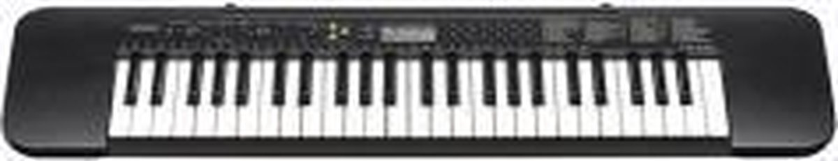 Wat vinden we goed aan de Casio CTK-240 Keyboard 49 Toetsen