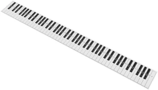 Wat vinden we goed aan de Dailygoody - 88-toets pianotoetsenbord