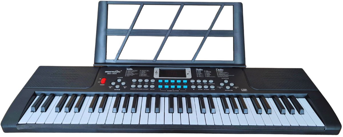 De Deluxe Kindvriendelijk Keyboard 61 Toetsen met Microfoon in één oogopslag