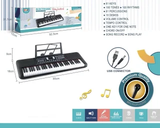 Elektronisch Keyboard 61 Toetsen met Microfoon en USB