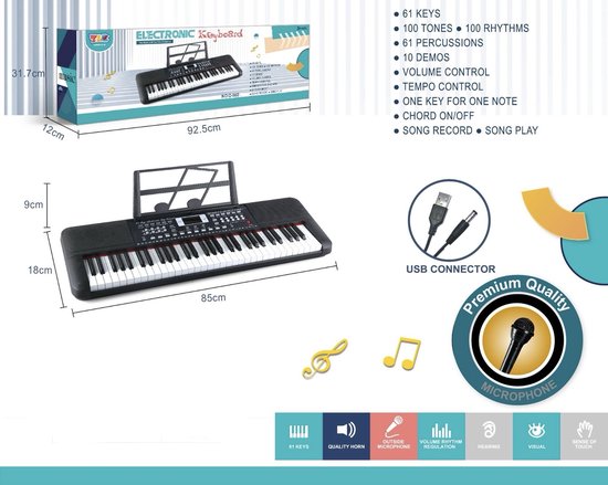 Elektronisch Keyboard 61 Toetsen met Microfoon en USB