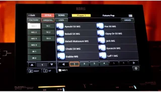 Wat vinden we goed aan de Korg Pa5X 61 Oriental Arranger Keyboard