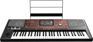 Korg PA700 Oriental Entertainer Keyboard
