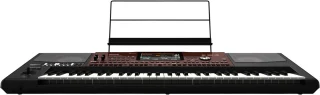 Korg PA700 Oriental Entertainer Keyboard