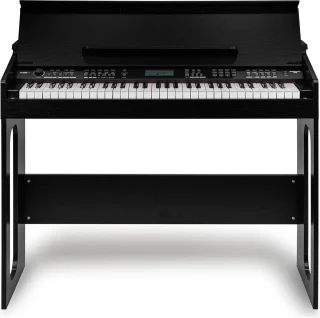 MAX RhapsodyDP61 complete keyboardset inclusief meubel en accessoires
