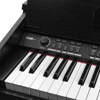 MAX RhapsodyDP61 digitale piano set