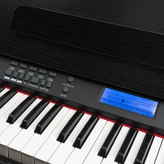 MAX RhapsodyDP61 digitale piano set