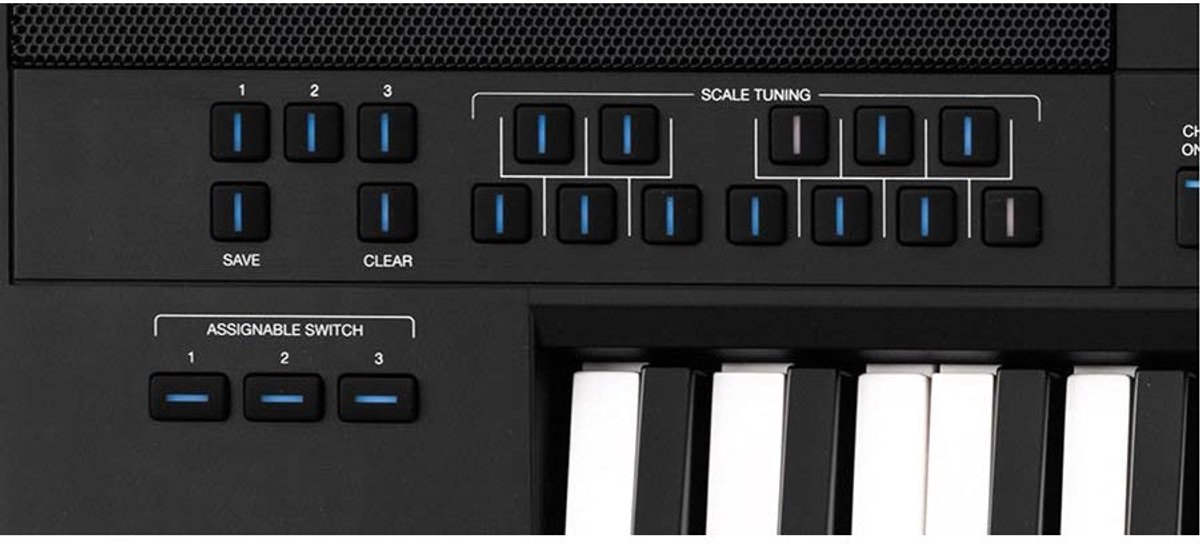 Wat vinden we goed aan de Medeli DANTE-ZEN Arranger Workstation