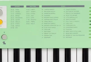 Medeli MK1-GN Keyboard