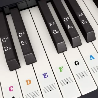 Piano keyboard stickers 37/49/54/61/88 toetsen - ShopVlot