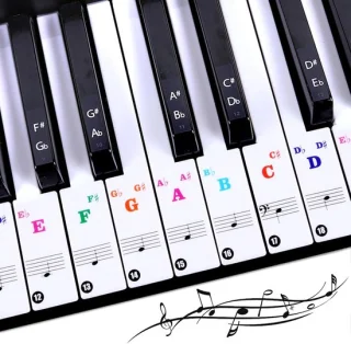Piano keyboard stickers muzieknoten - 37/49/54/61/88 toetsen - ShopVlot