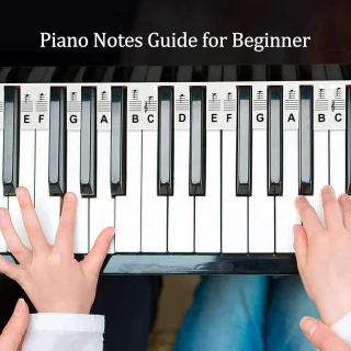 Piano Stickers 88 Toetsen Zwart Herbruikbaar Silicone