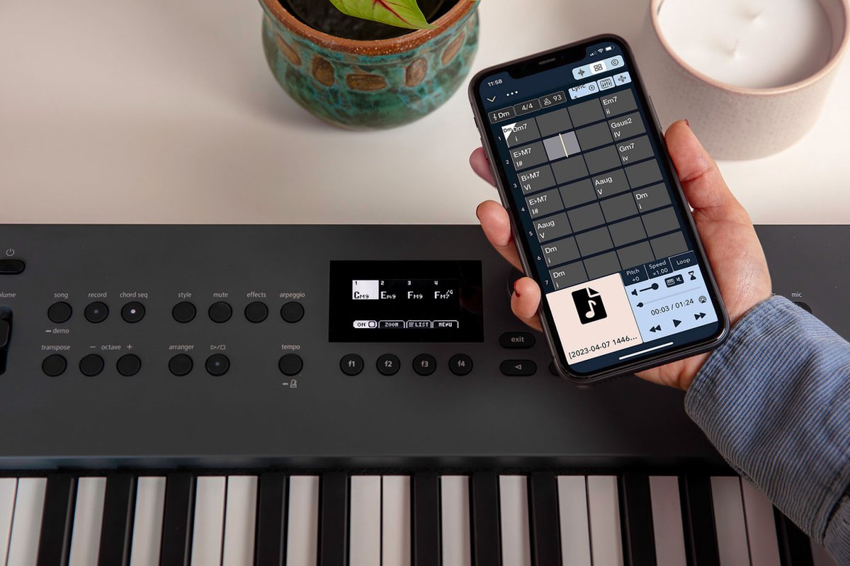 Roland GO:KEYS 61 toetsen Graphite