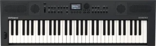 Roland GO:KEYS 61 toetsen Graphite