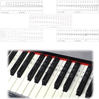 Set muziekstickers voor piano en keyboard (49/61/76/88 toetsen) review