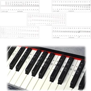 Set muziekstickers voor piano en keyboard (49/61/76/88 toetsen)