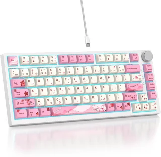De SOLIDEE 82 Flower 75% 82-Key Wired Mechanical Keyboard in één oogopslag